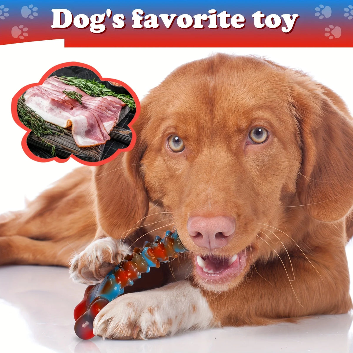 1pc Durable Nylon Dog Chew Toy for Aggressive Chewers - Indestructible Bone Design
