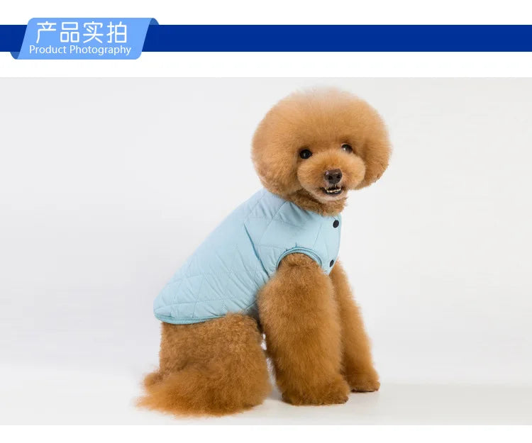 Jacket and Underwear Dog Clothes Autumn and Winter Clothes Small Medium Dog Fleece-lined Thickened Pet Vest Cotton Vest