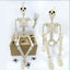 Halloween Decorations Skeleton,3 Foot Posable Human Shape Skeleton,Halloween Fake Bone Horror Decoration