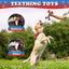 1pc Durable Nylon Dog Chew Toy for Aggressive Chewers - Indestructible Bone Design