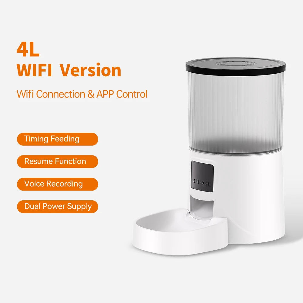 Wholesale 4L Automatic Cat Self Diet Feeder Dog Feeder Smart Stainless Steel Double Bowl Cat Feeder