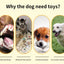 Plush Toys for Small Dogs Squeaky Soft Toy for Puppies Small Dog Ocean Series Plush Toys  for small and medium breeds dogs