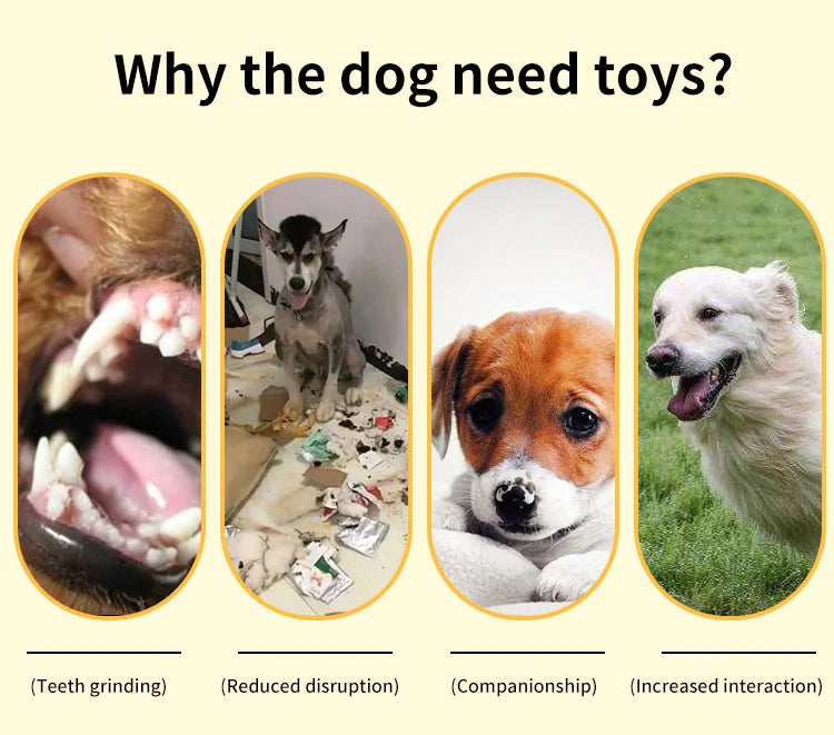 Plush Toys for Small Dogs Squeaky Soft Toy for Puppies Small Dog Ocean Series Plush Toys  for small and medium breeds dogs