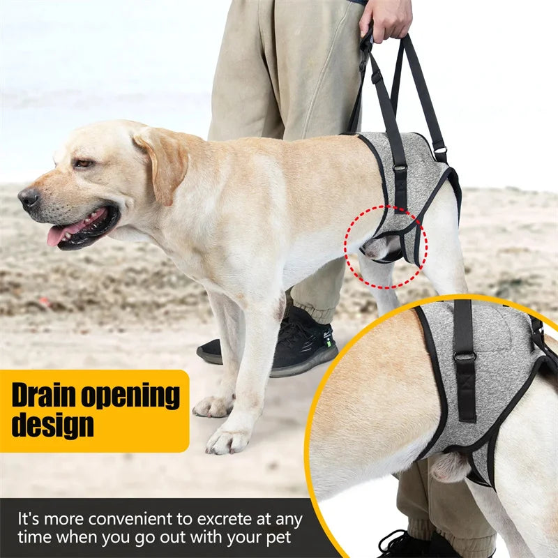 Dog Lift Harness  - Soft Padded Support for Rear Legs