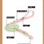Pet Supplies Dog Collar For Small and Medium Dog Walking Sugar Color Series Cute style PVC Webbing Collar Leashes Set 2024 New