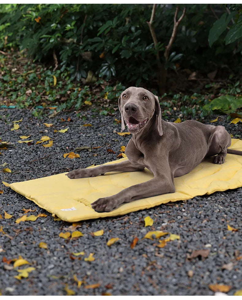 Foldable Dog Blanket, Waterproof Training Mat, Urine Absorbent Mat, Washable Outdoor Mat, Car Seat Cover, Portable Dog Mat