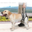 Dog Lift Harness  - Soft Padded Support for Rear Legs