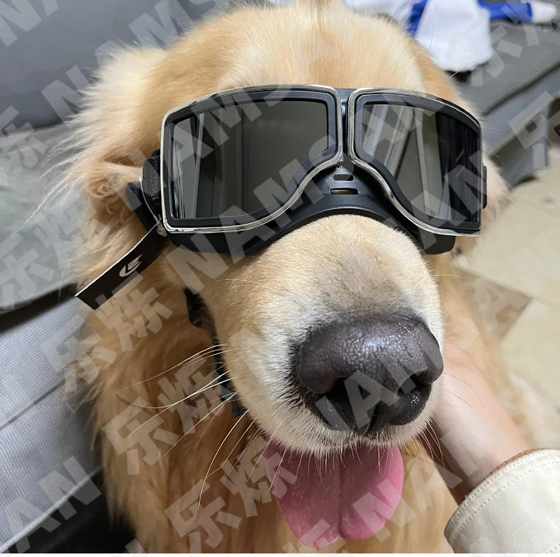 Pet Glasses New Dog Locomotive Glasses Sunglasses Medium and Large Dog Goggles Windproof Sunscreen Pet Accessories
