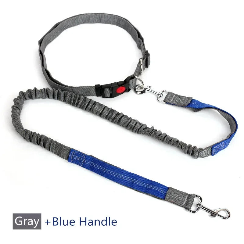 Retractable Dog Leash with Adjustable Waist Rope Hand Free Running Jogging Cycling Big Dogs Pet Elasticity Lead Pet Supplies