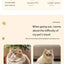 2025 New Pet Aviation Case, Portable Space Cabin, Pet Outdoor Bag, Car Mounted Cat Bed, Small Cat Bag, Portable Pet Bag