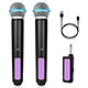 Rechargable Universal Wireless Microphone Dynamic Microphone Handheld Mic Micphone Professional Church Show Meeting-ADS1509
