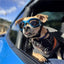 Foldable Pet Glasses Dog Goggles Sunglasses Puppy Cat Glasses UV Protection Summer Windproof Dogs Puppy Accessories Pet Supplies