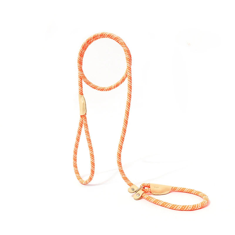 Adjustable Collar Harness Dog Leash Nylon Pet Lead Leash Dog Harness Durable Rope Belt Lightweight Dog Accessories Cat Collar