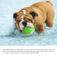 Summer Electric Spray Dog Toys Water Floating Pool Bathtub Pet Bathing Teething Dog Toys Human-Pet Interaction Products