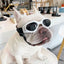 Foldable Pet Glasses Dog Goggles Fashion Sunglasses Summer Windproof Sunscreen Dogs Puppy Accessories Pet Supplies