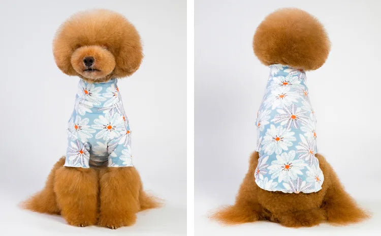 Jacket and Underwear Dog Clothes Autumn and Winter Clothes Small Medium Dog Fleece-lined Thickened Pet Vest Cotton Vest