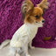 Puppy Dog Sweaters for Small Medium Dogs Cats Clothes Winter Warm Pet Turtleneck Chihuahua Vest Soft Yorkie Coat Teddy Jacket