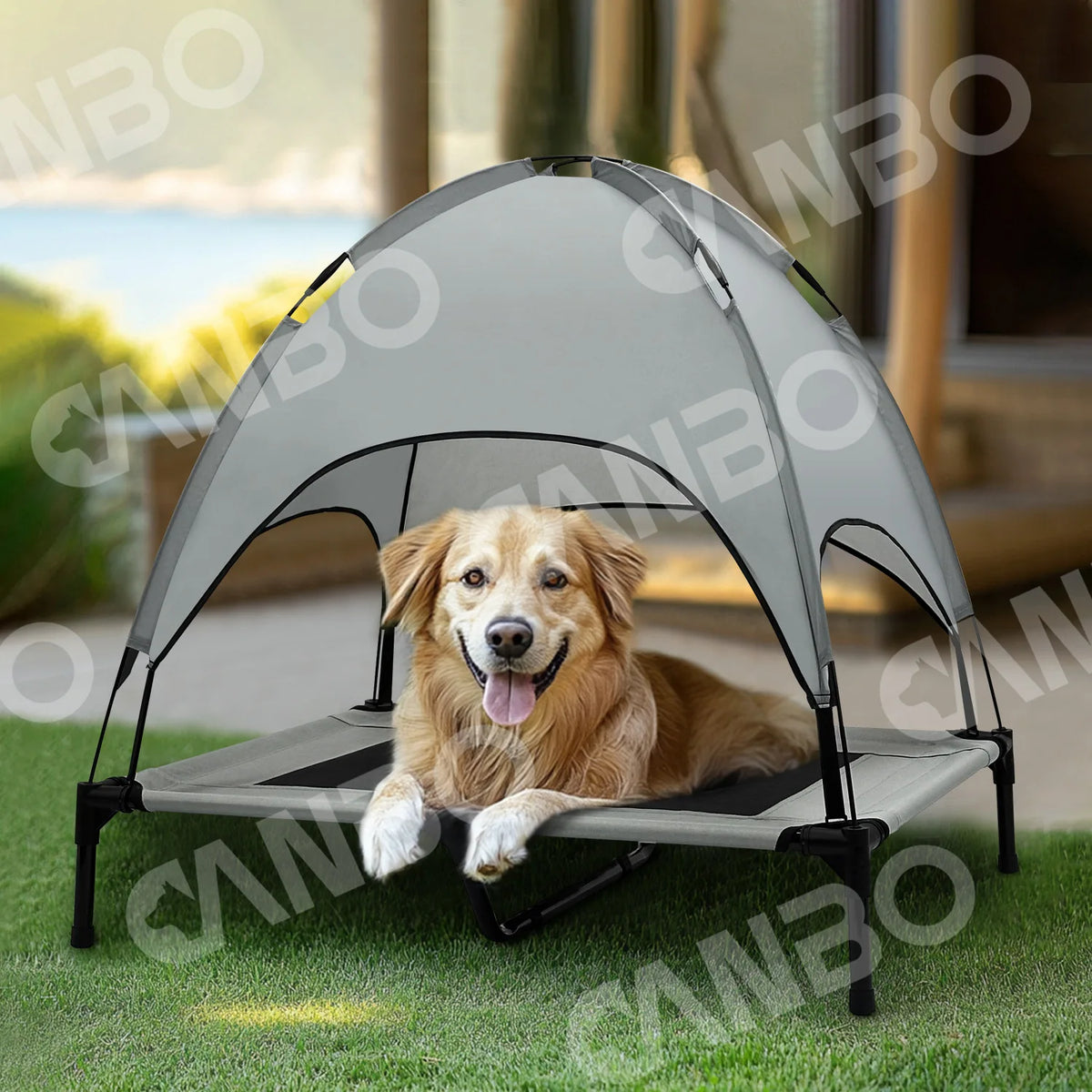 ‌Elevated Outdoor Pet Cot for Large Dogs, Heavy-Duty Frame Summer Camping Bed, Detachable Sunshade Canopy & Portable Dog Tent