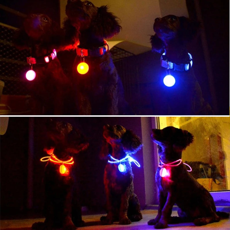 Usb Charging Glowing Dog Collar With Pendant Detachable Luxury Led Light Bright For Small Dogs Cat Night Safety Collar Wholesale