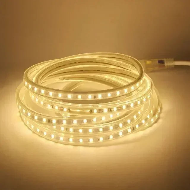 Led Strip Lights 220V Waterproof 1M 2M 3M 5M 10M 20M White Led Tape 220 Volt Red Green Blue Led Lighting 5050 Smd 60Leds/M Diode