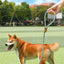 Adjustable Collar Harness Dog Leash Nylon Pet Lead Leash Dog Harness Durable Rope Belt Lightweight Dog Accessories Cat Collar