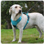 Dog Harness with Airtag Holder and Leash Set-Premium Oxford Breathable Material Durable Reflective Dog Harness and Leash Set