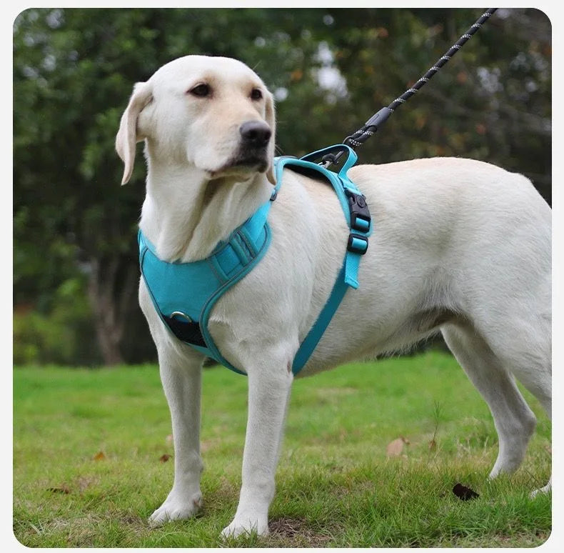 Dog Harness with Airtag Holder and Leash Set-Premium Oxford Breathable Material Durable Reflective Dog Harness and Leash Set