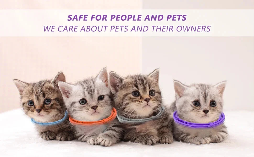 Pet Calm Collar Cat Dog Soothe Collar Adjustable Neck Strap Relieve Anxiety Remove Restlessness Protection Relax Pet Supplies