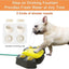 Dog Water Sprinkler Toy， Outdoor Splash Pad Puppy Drinking Dispenser， Interactive Dog Toys