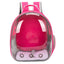Airline Approved Pet Backpack - Transparent Space Capsule