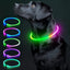 LED Glowing Dog Collar Adjustable Flashing Rechargea Luminous Collar Night Anti-Lost Dog Light HarnessFor Small Dog Pet Products