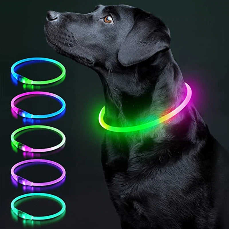 LED Glowing Dog Collar Adjustable Flashing Rechargea Luminous Collar Night Anti-Lost Dog Light HarnessFor Small Dog Pet Products