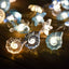 Plastic Lamp Shell String Lights Ocean Series 30 Lights LED Lights Everbright Battery Box Power Supply String Lamp Home/Outdoor