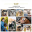 Pet Glasses New Dog Locomotive Glasses Sunglasses Medium and Large Dog Goggles Windproof Sunscreen Pet Accessories