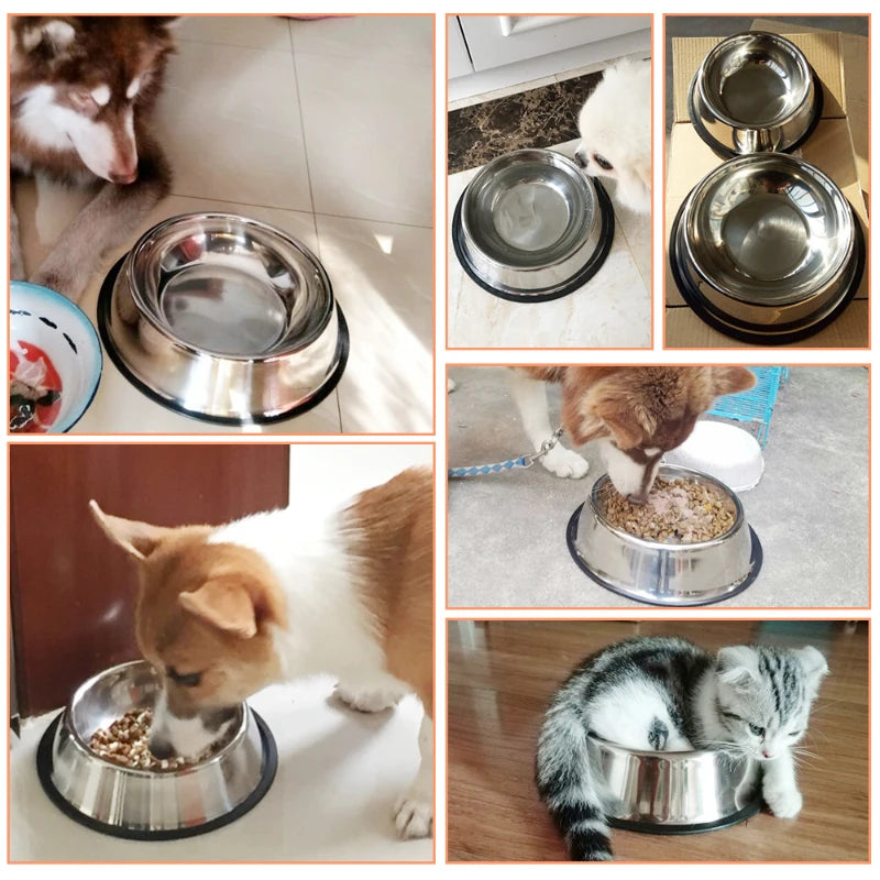 Stainless Steel Pet Bowls for Dogs and Cats - 6 Sizes (XS to XXL) - Feeding and Water Dishes