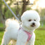 Dog Harness Small Breed Harness for A Small Dog Large Dog Harness Harnait Chest GXQ03