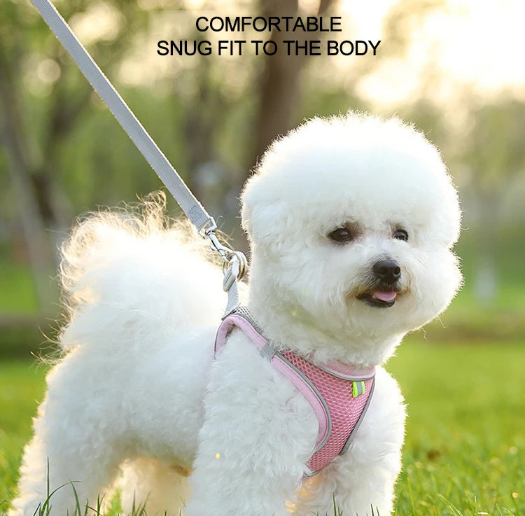 Dog Harness Small Breed Harness for A Small Dog Large Dog Harness Harnait Chest GXQ03