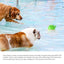Summer Electric Spray Dog Toys Water Floating Pool Bathtub Pet Bathing Teething Dog Toys Human-Pet Interaction Products