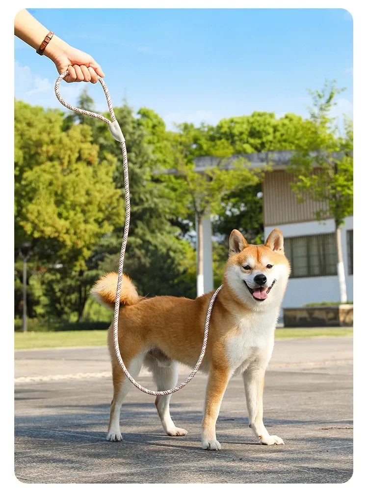 Adjustable Collar Harness Dog Leash Nylon Pet Lead Leash Dog Harness Durable Rope Belt Lightweight Dog Accessories Cat Collar