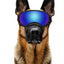 Dog Goggles Adjustable Pet Glasses Dog Sunglasses for Small Medium Large Dogs Puppy Skiing Ourdoor Eyes Protection Pet Supplies