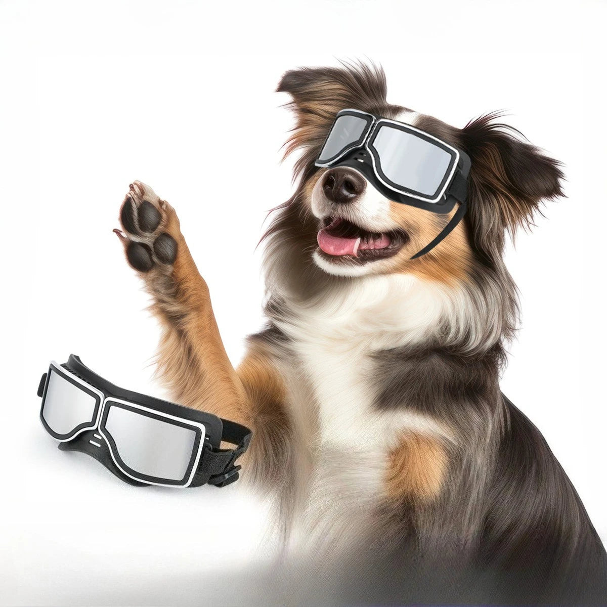 Pet Glasses New Dog Locomotive Glasses Sunglasses Medium and Large Dog Goggles Windproof Sunscreen Pet Accessories