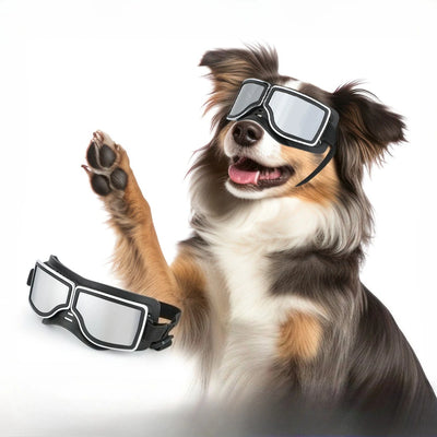 Pet Glasses New Dog Locomotive Glasses Sunglasses Medium and Large Dog Goggles Windproof Sunscreen Pet Accessories