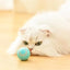 2023 NEW Electric Dog Toys Smart Puppy Ball Toys For Cat Small Dogs Funny Auto Rolling Ball Self-moving Puppy Games Toys Pe