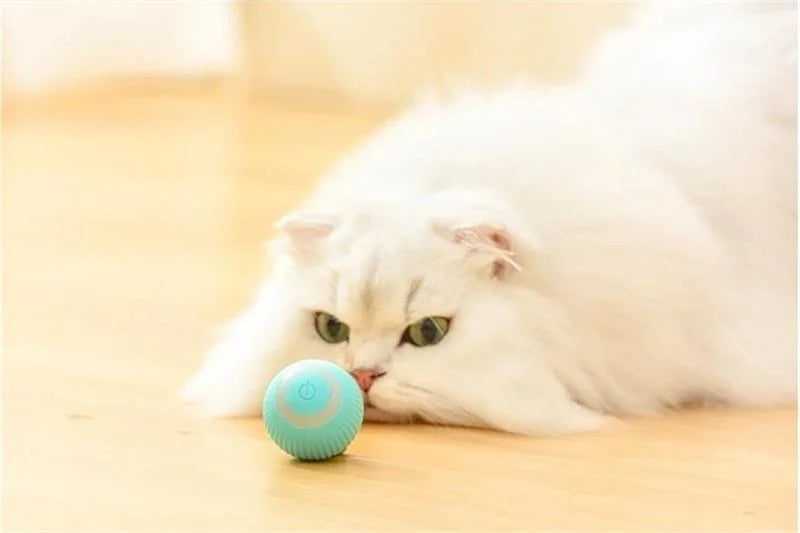 2023 NEW Electric Dog Toys Smart Puppy Ball Toys For Cat Small Dogs Funny Auto Rolling Ball Self-moving Puppy Games Toys Pe