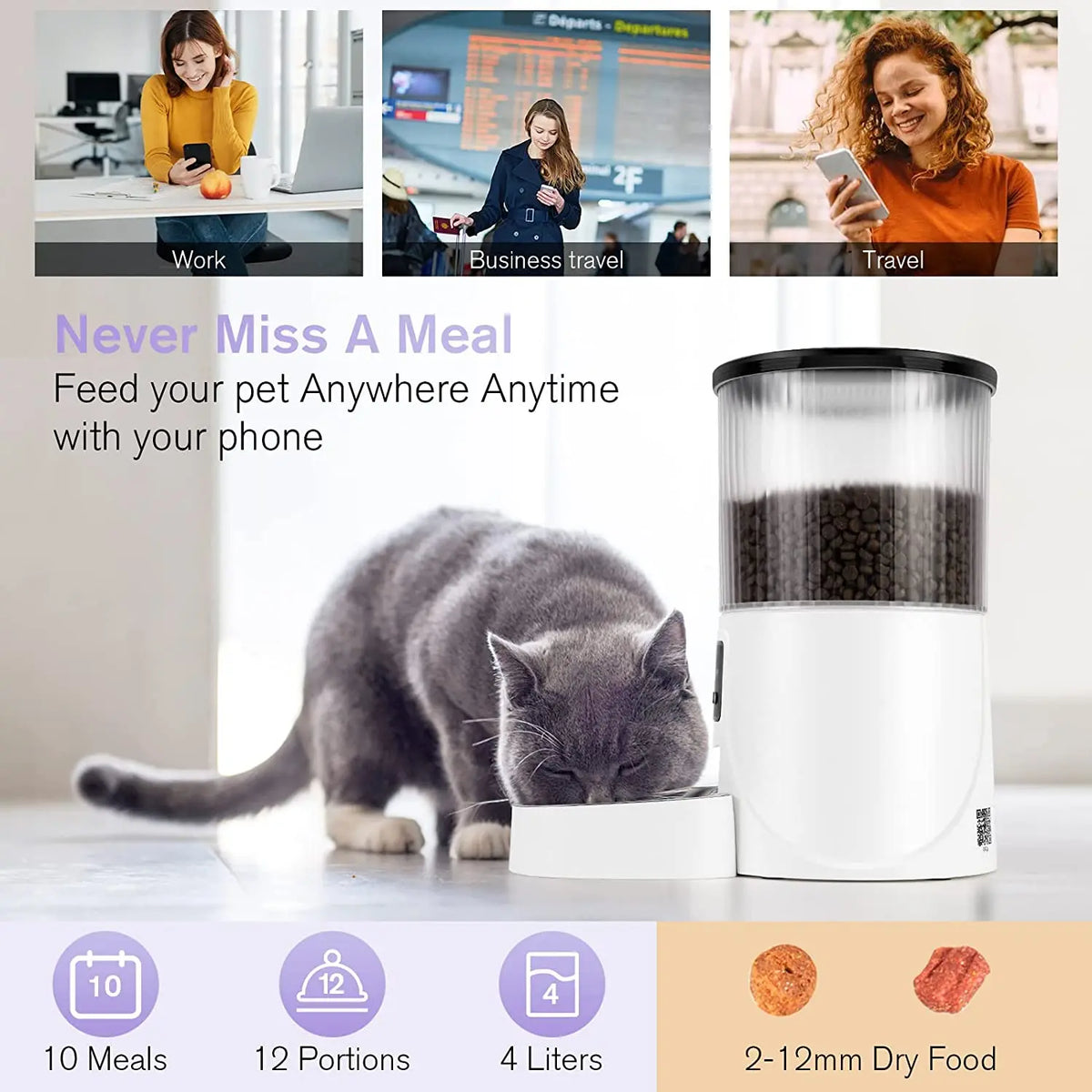 Wholesale 4L Automatic Cat Self Diet Feeder Dog Feeder Smart Stainless Steel Double Bowl Cat Feeder
