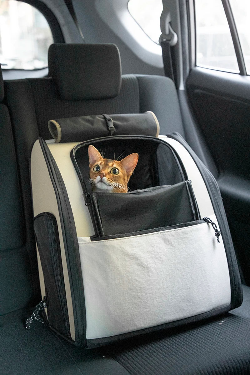 Pet Travel Backpack, Double Shoulder, Breathable Outdoor Bag