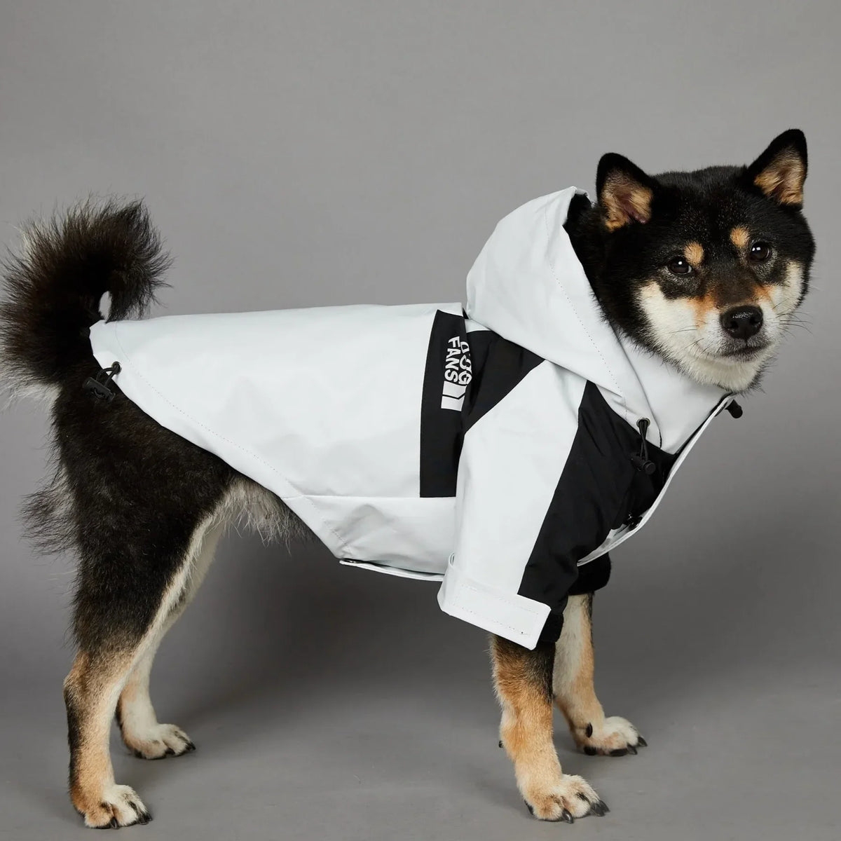 Small Dog Raincoat Clothes for Small Big Dogs Wind Coat Windbreaker French Bulldog Hoodie Octdoor Raincoats Dog Costume Coat