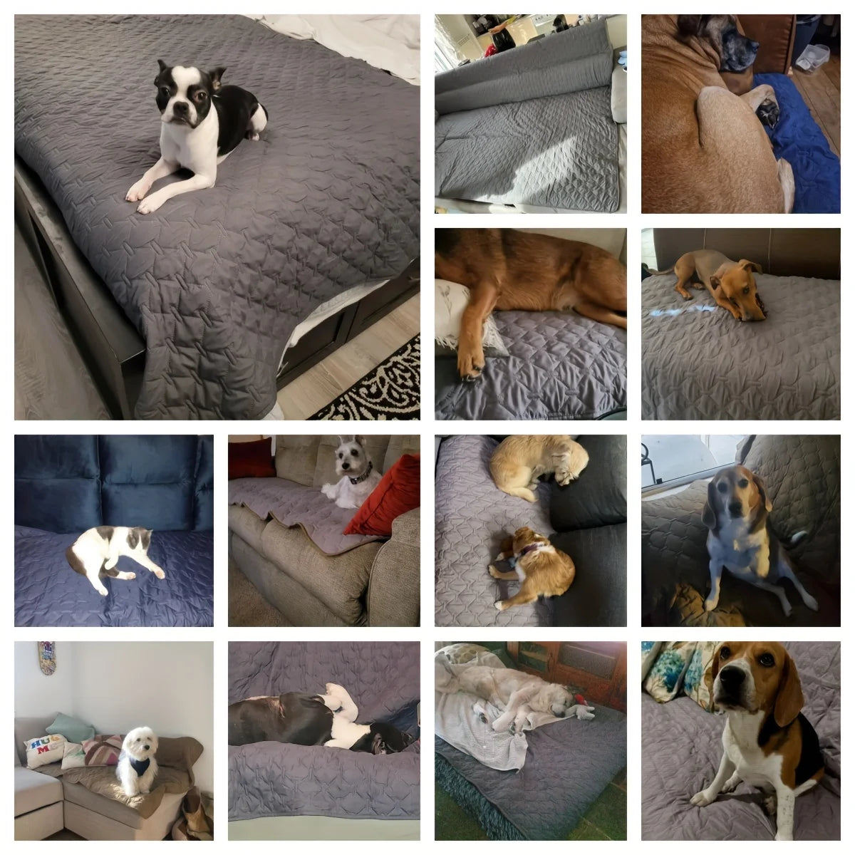 Double-Sided Waterproof Bed Cover