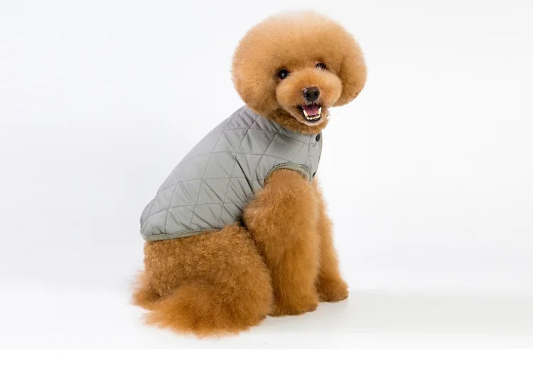Jacket and Underwear Dog Clothes Autumn and Winter Clothes Small Medium Dog Fleece-lined Thickened Pet Vest Cotton Vest