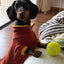 Fashion Red Dachshund Pajamas – Soft Stretch Winter & Spring Clothes for Sausage Dogs